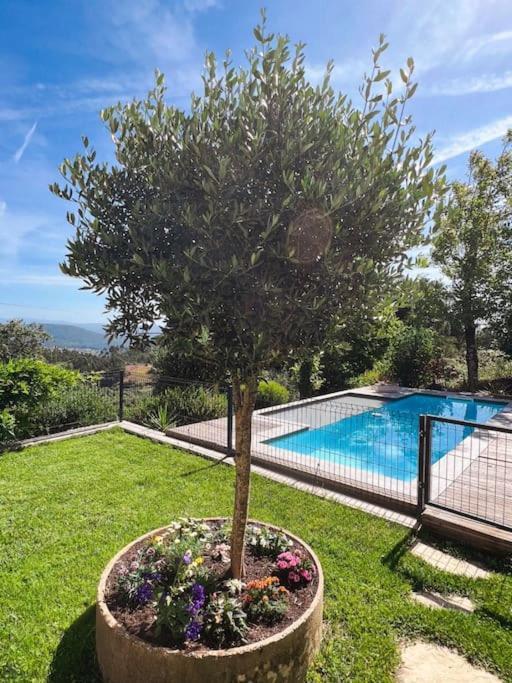 Casa Estrela Villa Alvaiazere ภายนอก รูปภาพ