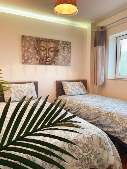 Casa Estrela Villa Alvaiazere ภายนอก รูปภาพ